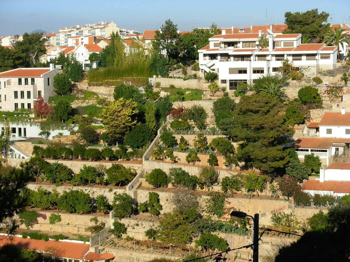 Paisaje construido integrado en una ladera